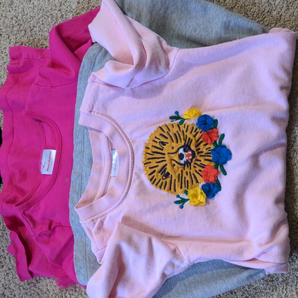 Hanna Andersson dress lot